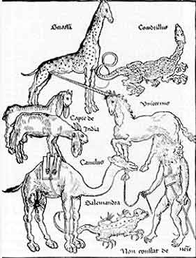 Bestiario